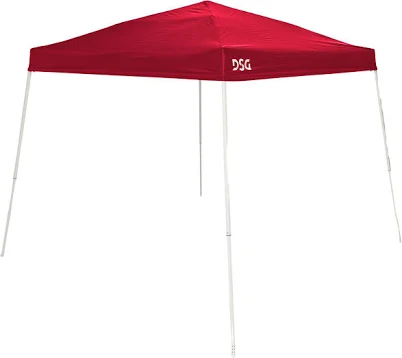 DSG 10' x 10' Slant Leg Canopy