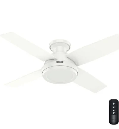 Hunter Fan Dempsey Low Profile Ceiling